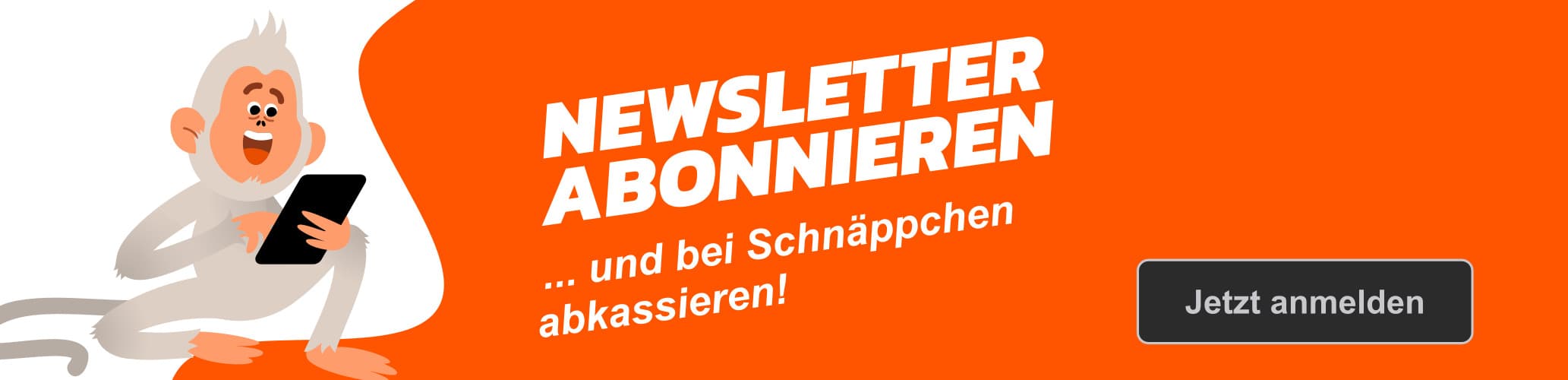 Newsletter Banner